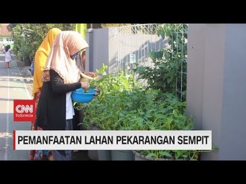 Detail Pemanfaatan Lahan Sempit Di Pekarangan Rumah Nomer 31