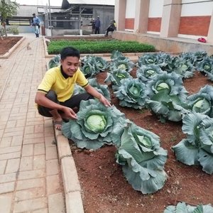 Detail Pemanfaatan Lahan Sempit Di Pekarangan Rumah Nomer 33