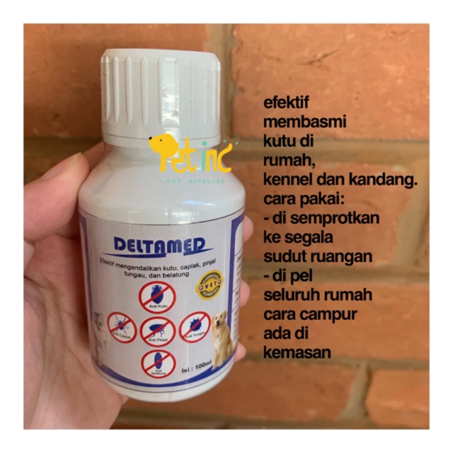 Pembasmi Kutu Kucing Di Rumah - KibrisPDR