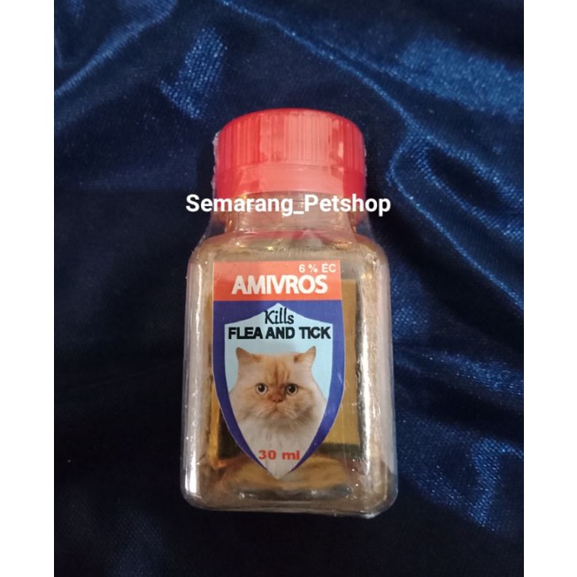 Detail Pembasmi Kutu Kucing Di Rumah Nomer 56