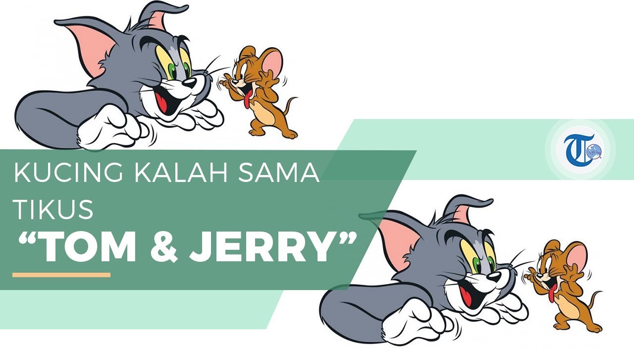 Detail Pembuat Kartun Tom And Jerry Nomer 28