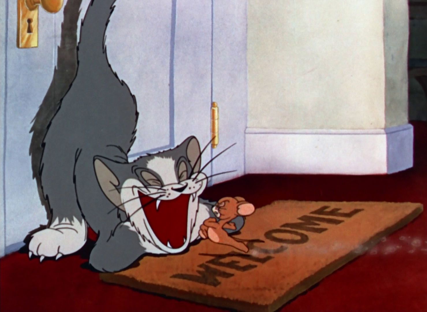 Detail Pembuat Kartun Tom And Jerry Nomer 38