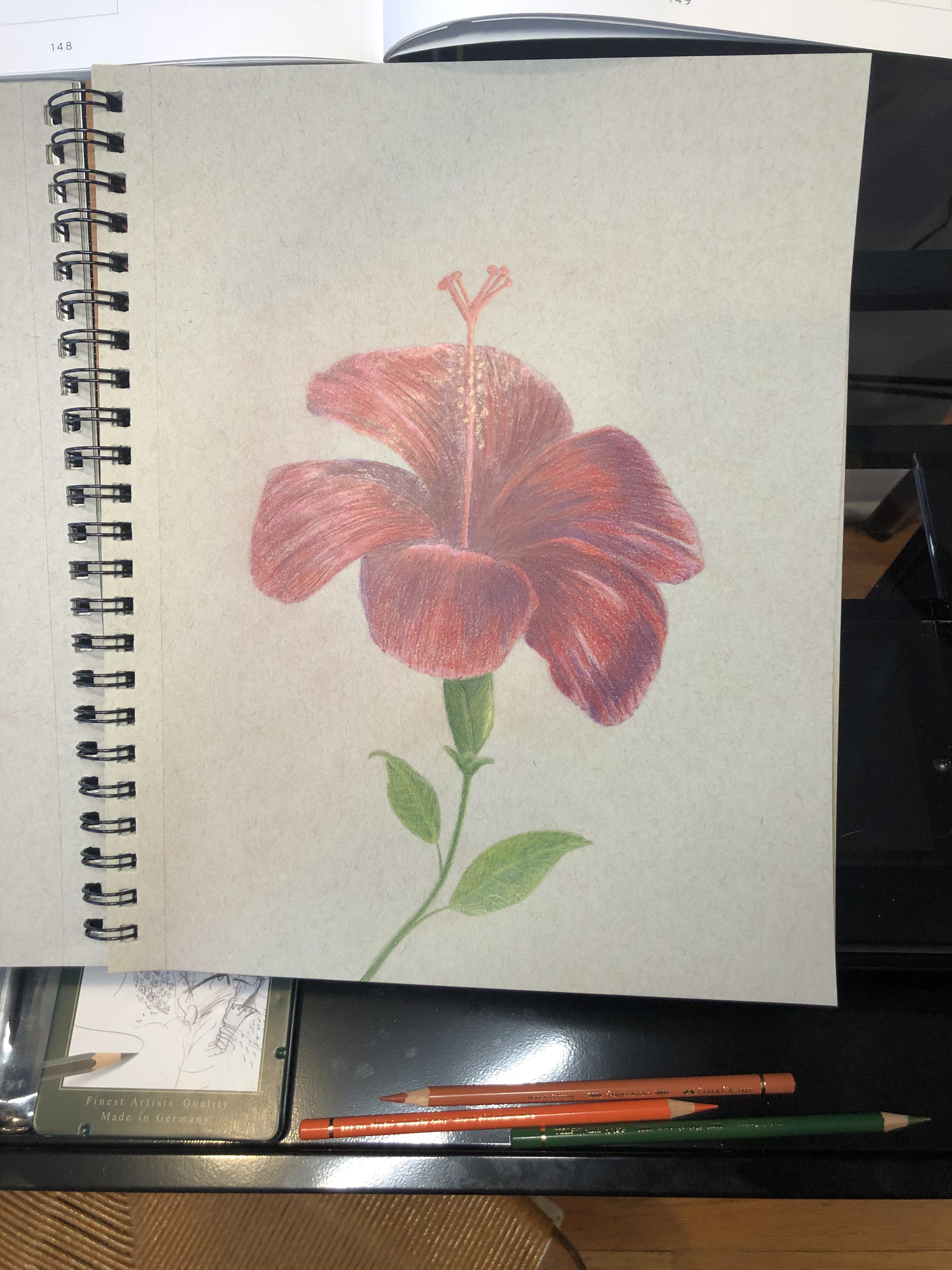 Detail Lukisan Gambar Bunga Raya Nomer 39