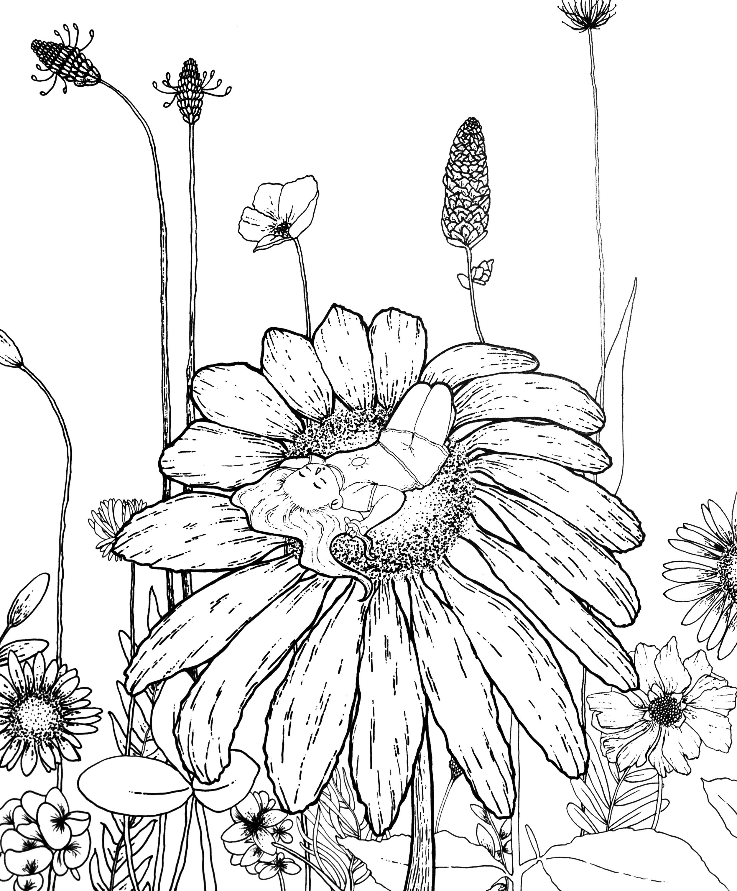 Detail Lukisan Gambar Bunga Raya Nomer 48