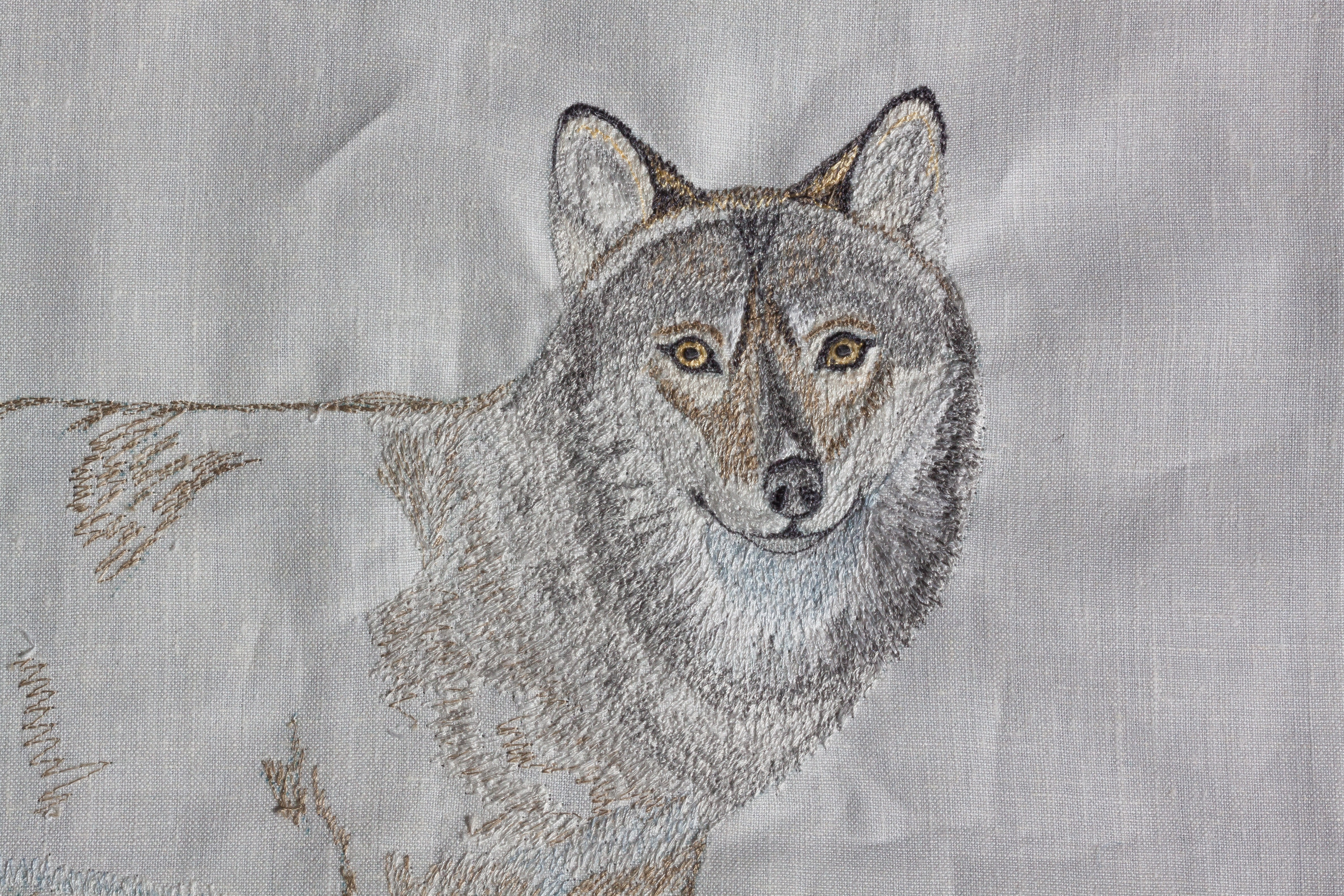 Detail Lukisan Gambar Satwa Liar Serigala Nomer 12