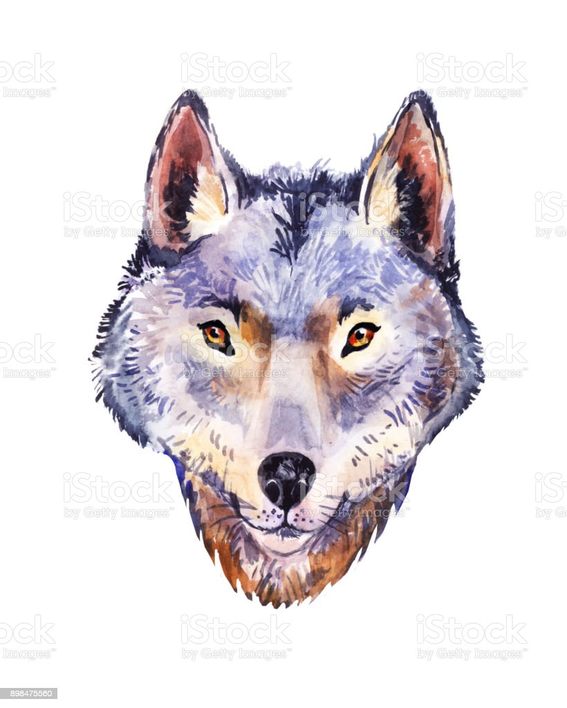 Detail Lukisan Gambar Satwa Liar Serigala Nomer 18