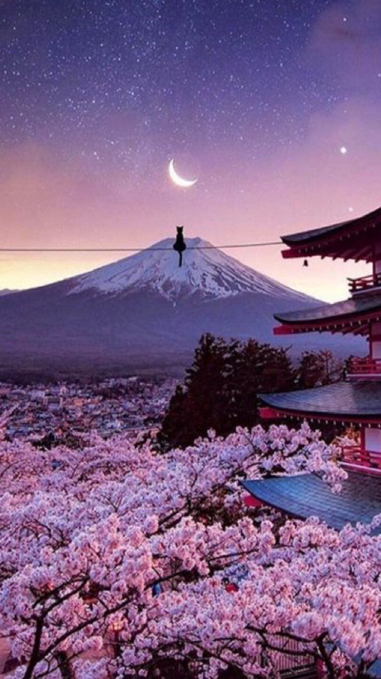 Detail Lukisan Gunung Fuji Dan Bunga Sakura Nomer 14