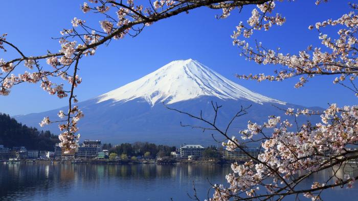 Detail Lukisan Gunung Fuji Dan Bunga Sakura Nomer 51