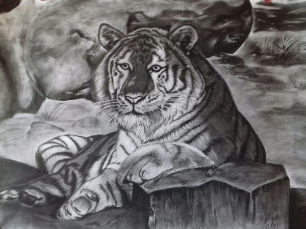 Detail Lukisan Harimau Hitam Putih Nomer 2