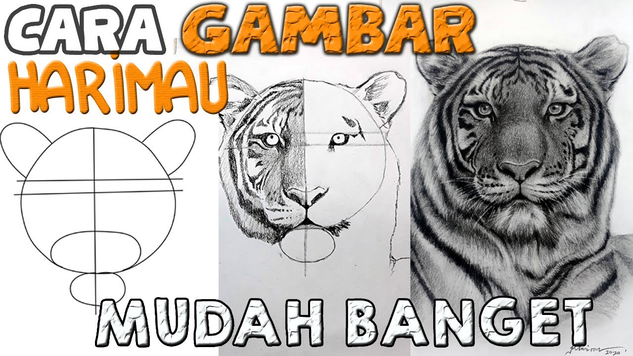 Detail Lukisan Harimau Pensil Nomer 40