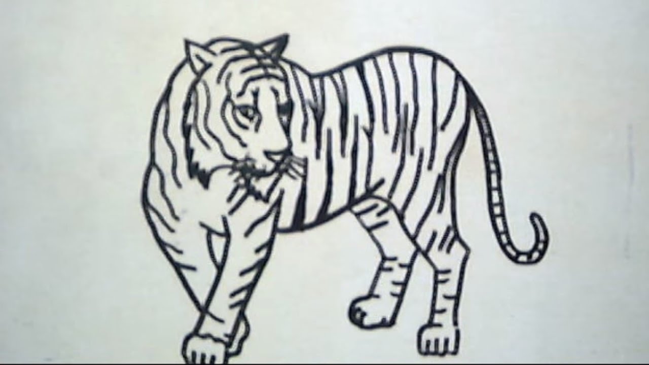 Detail Lukisan Harimau Pensil Nomer 7