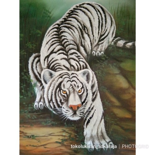 Detail Lukisan Hewan Gambar Harimau Nomer 14