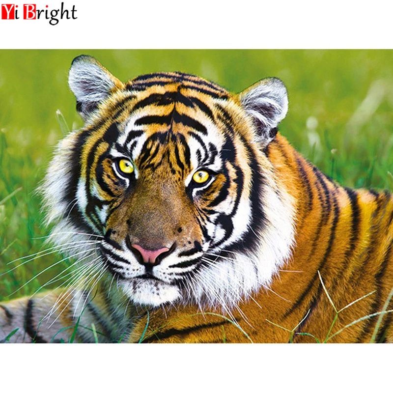 Detail Lukisan Hewan Gambar Harimau Nomer 44