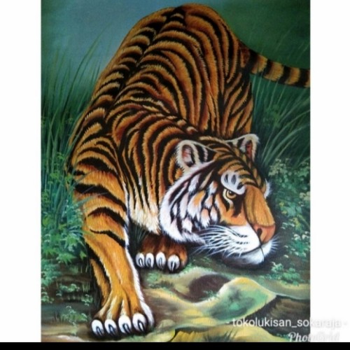 Detail Lukisan Hewan Gambar Harimau Nomer 51