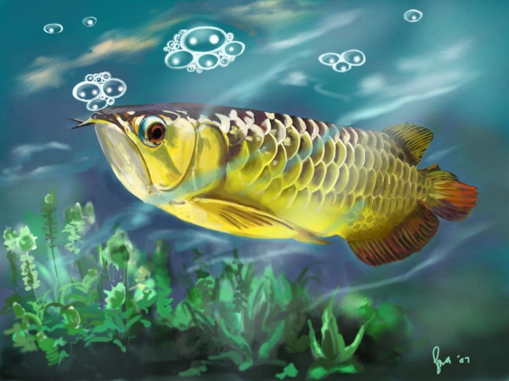 Detail Lukisan Ikan Dalam Akuarium Nomer 4