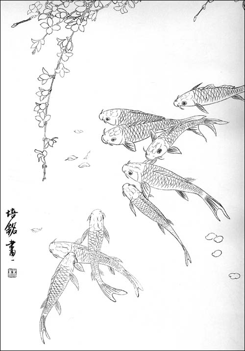 Detail Lukisan Ikan Koi Pensil Nomer 43