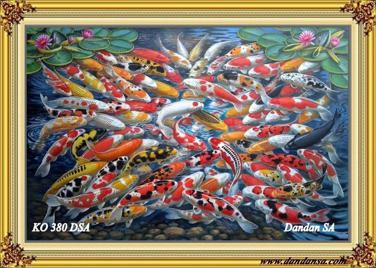 Detail Lukisan Ikan Koi Terbagus Nomer 53