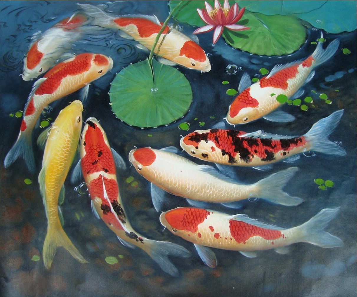 Detail Lukisan Ikan Koi Terbaik Nomer 12