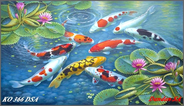 Detail Lukisan Ikan Koi Terbaik Nomer 5