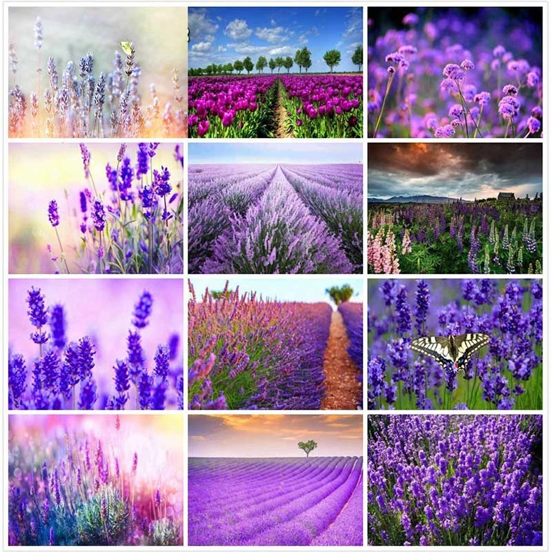Detail Lukisan Lavender Nomer 20