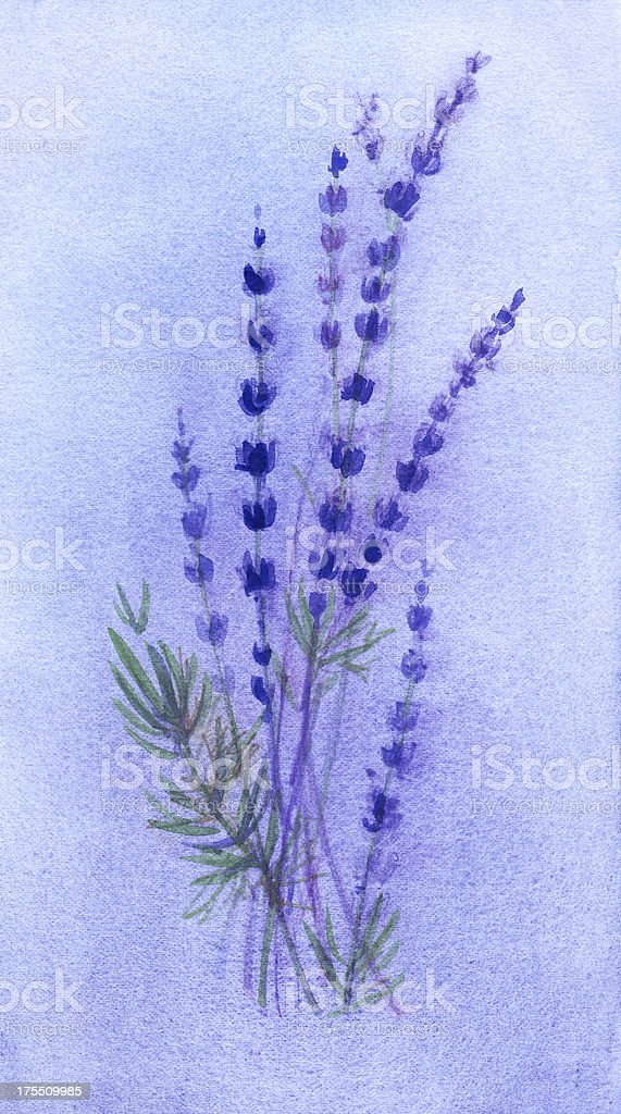 Detail Lukisan Lavender Nomer 8