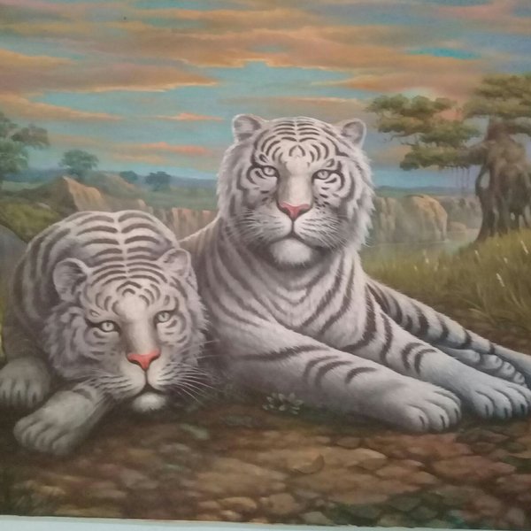 Detail Lukisan Macan Putih Nomer 37