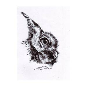 Detail Lukisan Owl Nomer 31