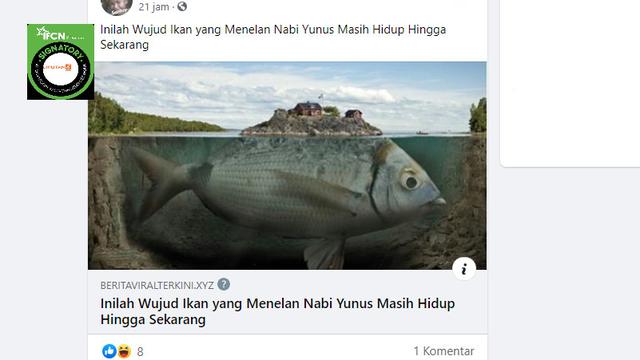 Detail Penampakan Ikan Nun Nomer 12