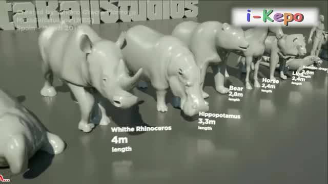 Detail Penampakan Ikan Nun Nomer 24