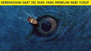 Detail Penampakan Ikan Nun Nomer 27