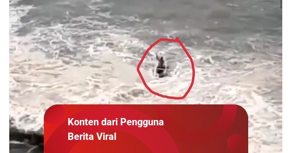 Detail Penampakan Ikan Nun Nomer 50