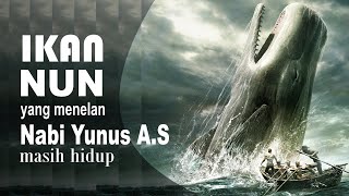 Detail Penampakan Ikan Nun Nomer 51