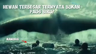 Detail Penampakan Ikan Nun Nomer 52