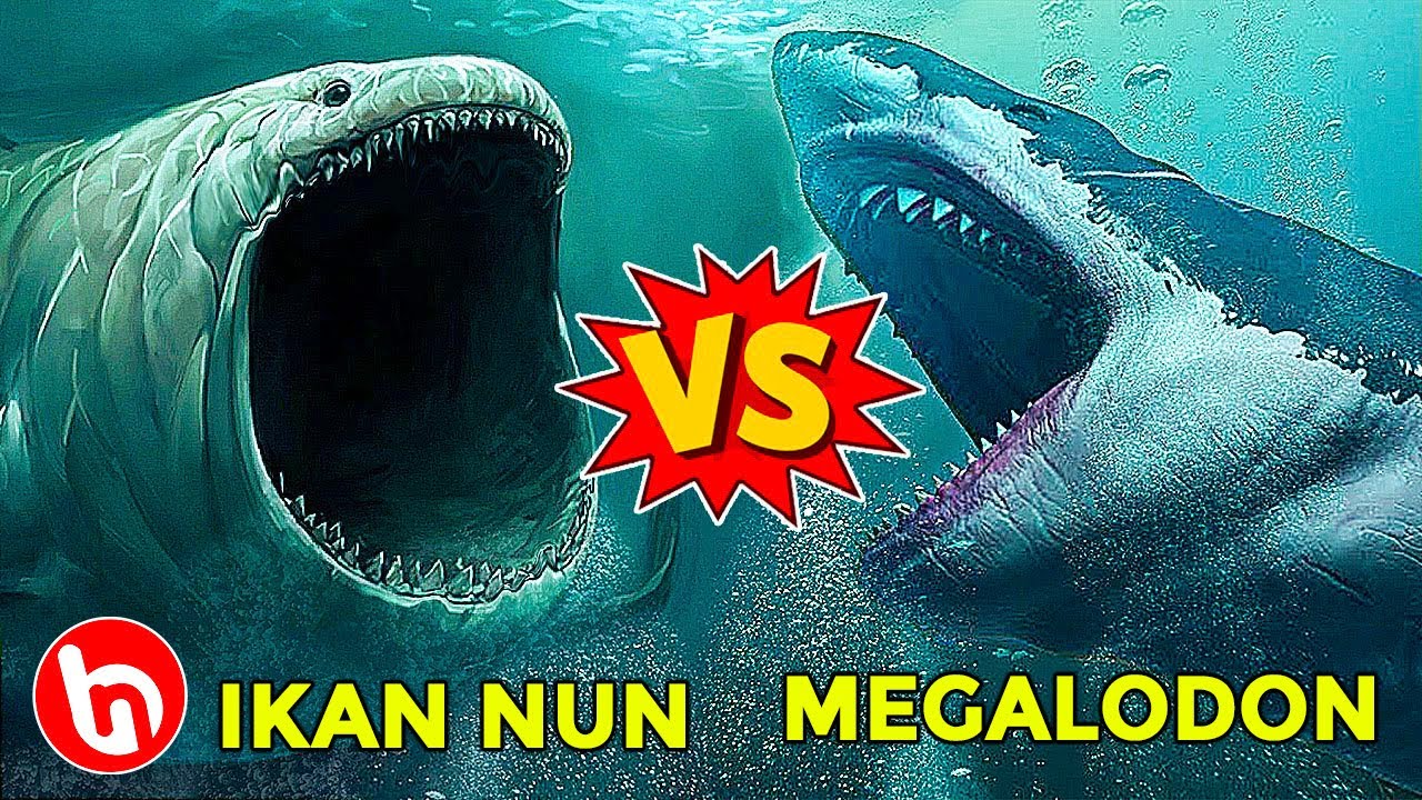 Detail Penampakan Ikan Nun Nomer 8