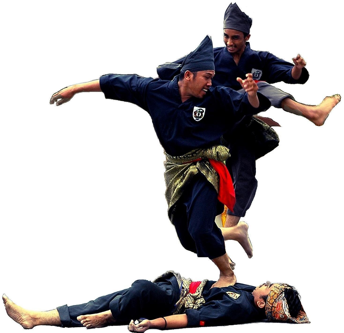 Detail Pencak Silat Png Nomer 46