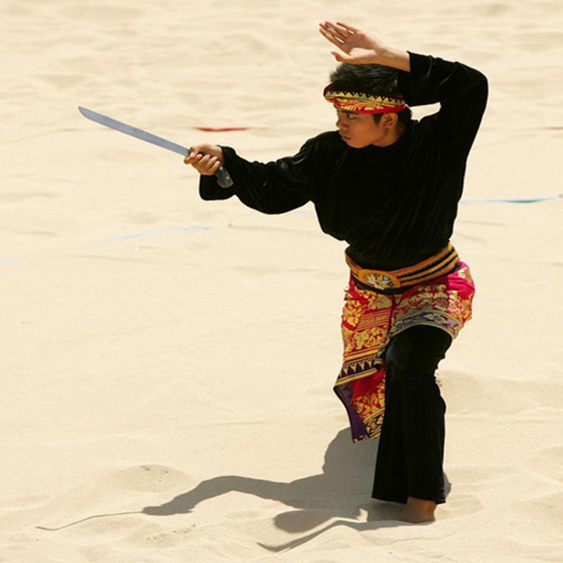 Detail Pencak Silat Wallpaper Nomer 21