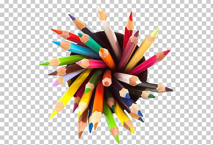 Detail Pencil Color Png Nomer 38