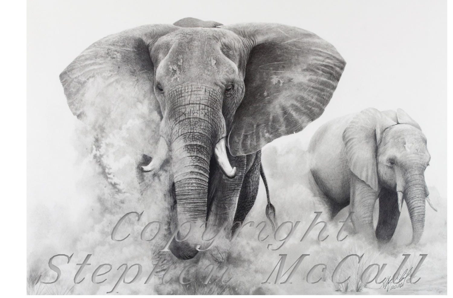 Detail Pencil Drawings Of Elephants Nomer 32