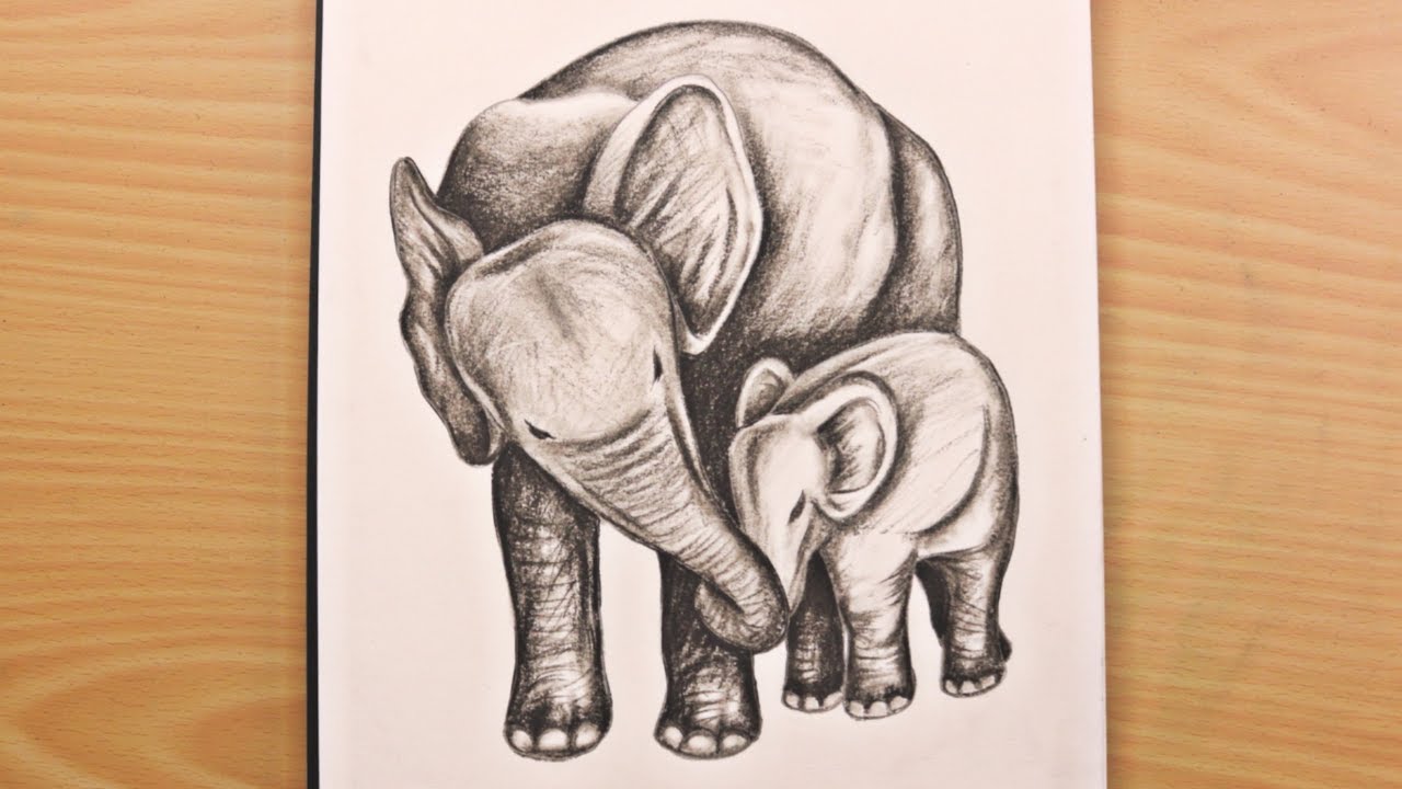 Detail Pencil Drawings Of Elephants Nomer 39