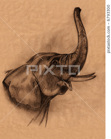 Detail Pencil Drawings Of Elephants Nomer 43
