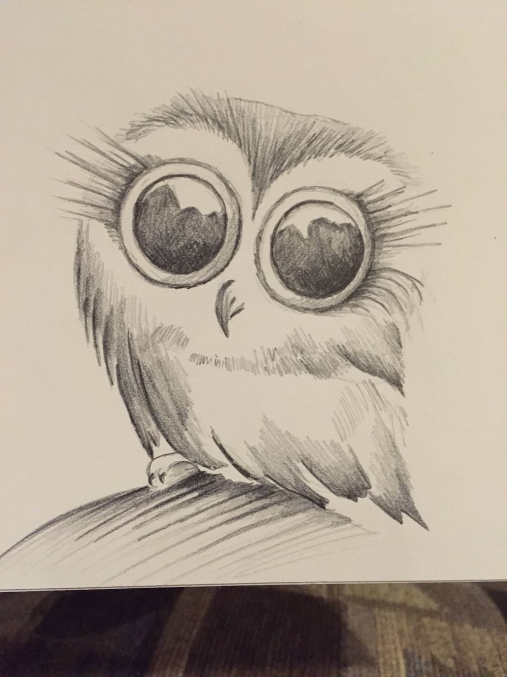 Detail Pencil Drawings Of Owls Nomer 38