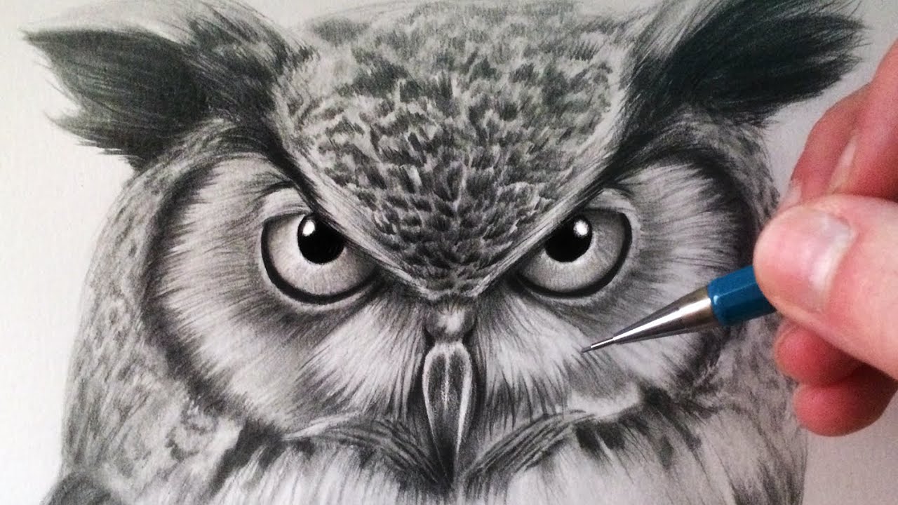 Detail Pencil Drawings Of Owls Nomer 5