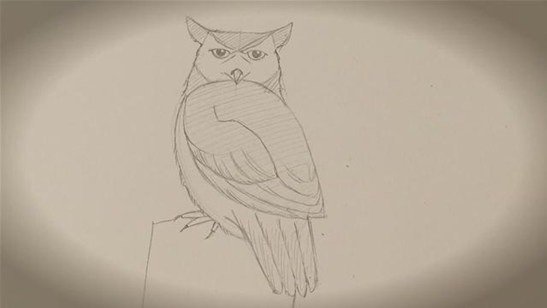 Detail Pencil Drawings Of Owls Nomer 41