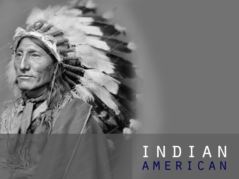 Detail Penduduk Asli Amerika Serikat Adalah Suku Nomer 5