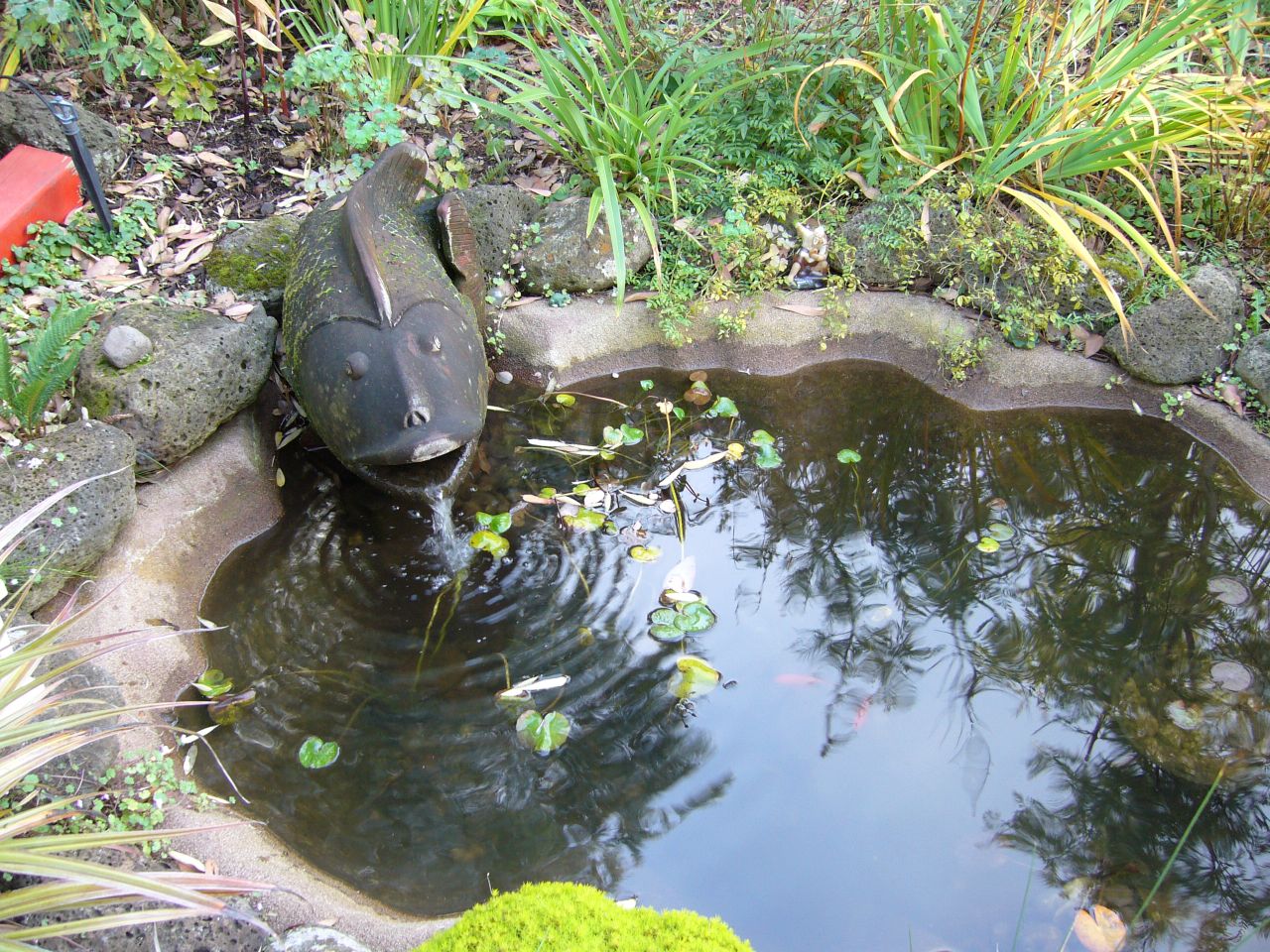 Detail Pengaruh Kolam Di Depan Rumah Nomer 22