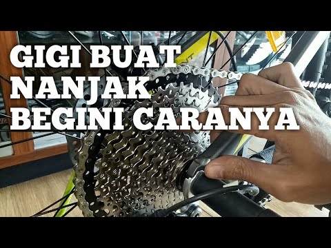 Detail Pengaturan Gigi Sepeda Nomer 45