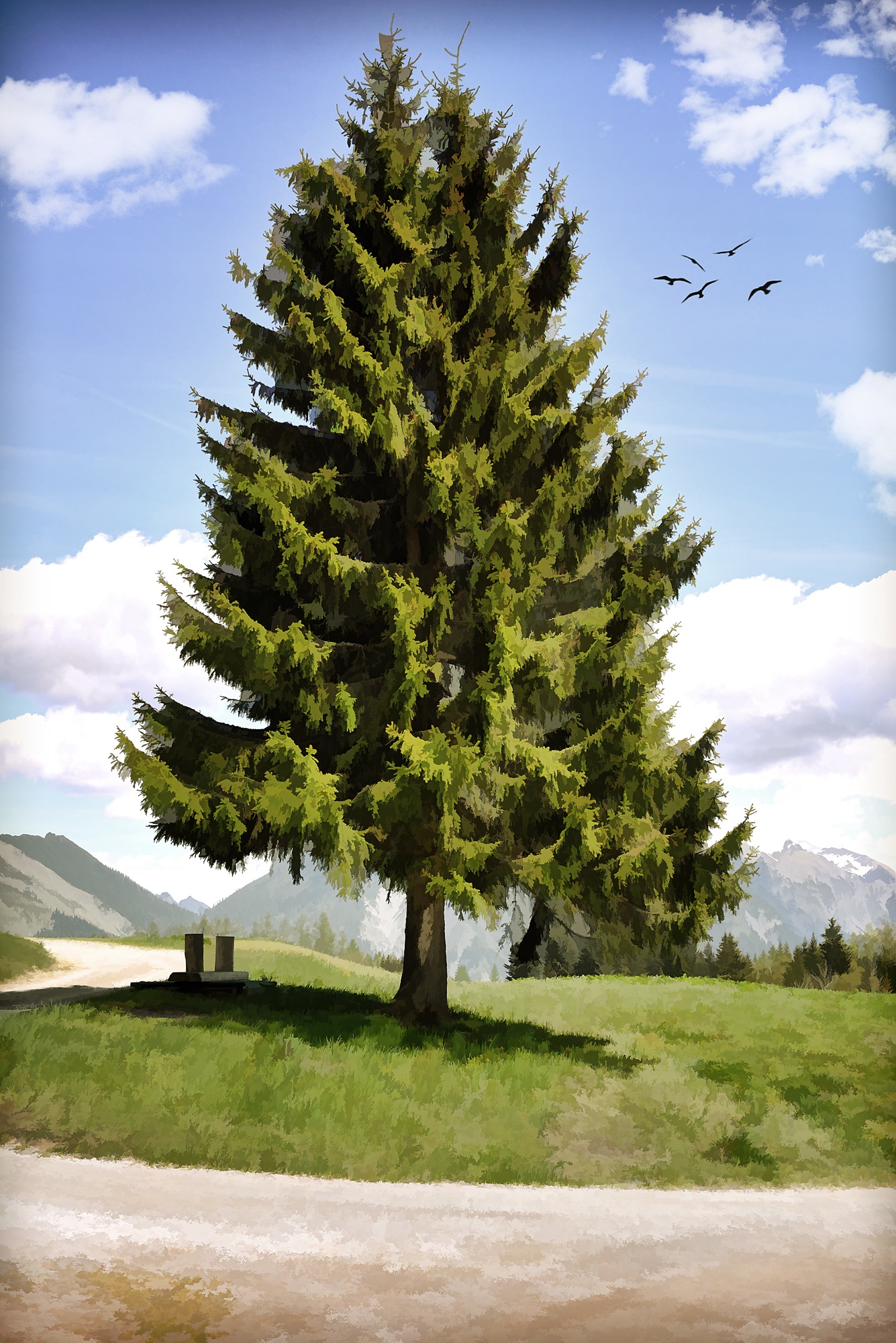 Detail Lukisan Pohon Cemara Nomer 3