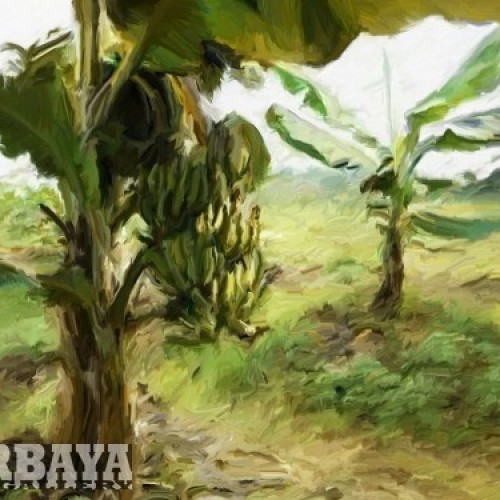 Detail Lukisan Pohon Pisang Nomer 6