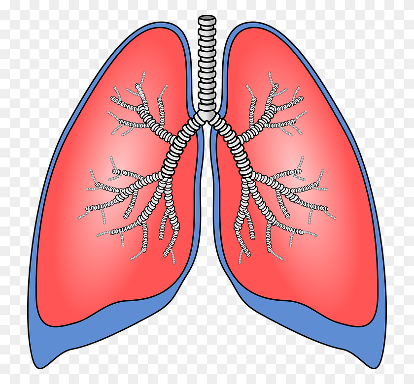 Detail Lung Cancer Clipart Nomer 28