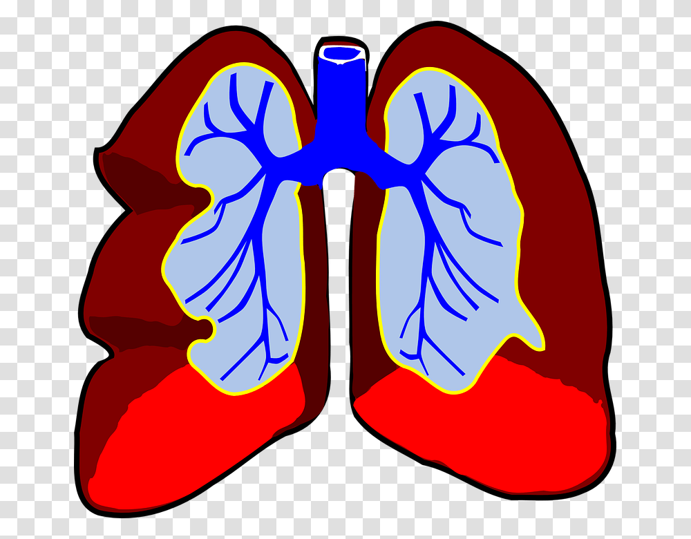 Detail Lung Cancer Clipart Nomer 53